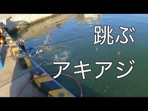 フカセ・浮きルアー・ブッコミ　３種類のアキアジ釣り