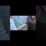 10月もサビキ釣り。