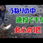 【サケ釣り】道南　うねりの中　遠投で会心の1匹！！