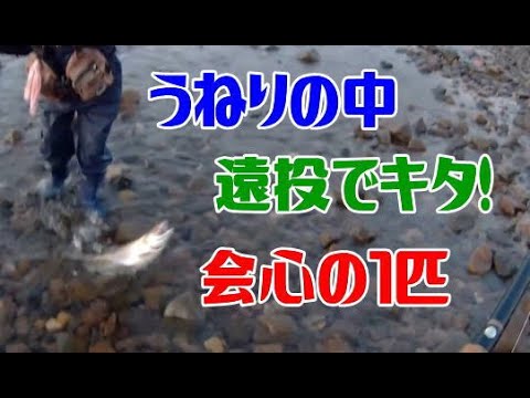 【サケ釣り】道南　うねりの中　遠投で会心の1匹！！