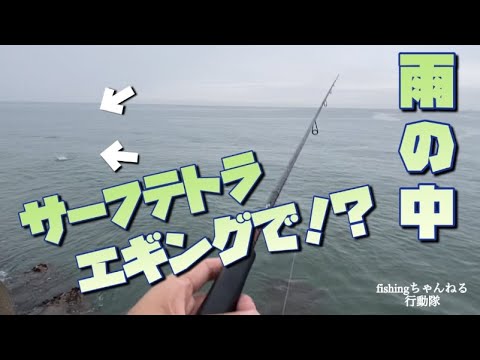 【石川県　釣り】雨でもイカは釣れる？雨の中サーフテトラエギング！