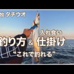 【本牧海づり施設】タチウオ釣り方&仕掛け