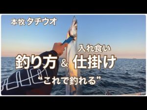【本牧海づり施設】タチウオ釣り方&仕掛け