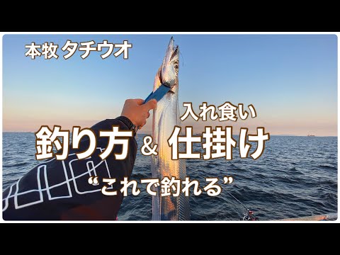 【本牧海づり施設】タチウオ釣り方&仕掛け