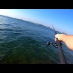 シーズン初期の青物を追ってみたら　いっぱい居た！　@釣りに行こうか！