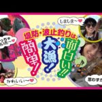 堤防・波止釣りは、簡単！大漁！面白い!!