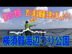 釣り動画ロマンを求めて 491釣目