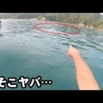 落とすだけで大漁に釣れる秋の旬魚がヤバすぎます！！