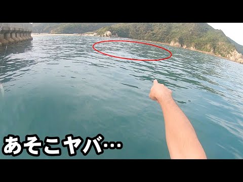 落とすだけで大漁に釣れる秋の旬魚がヤバすぎます！！