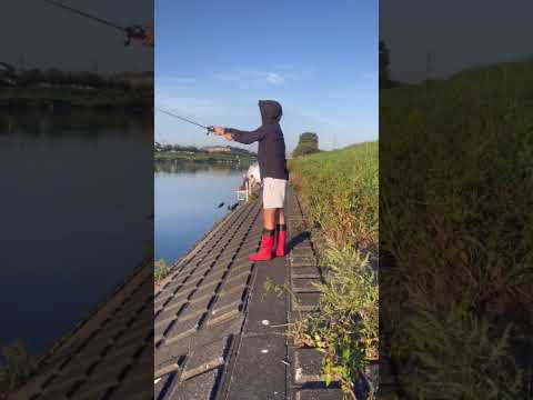 【バス釣り】ビン沼川バス釣り！2022/10/2 #ブラックバス #バスフィッシング #釣りガール #おかっぱり#こども