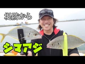 堤防からシマアジがめっちゃ釣れる方法と仕掛け教えます!