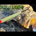【ヒラメ釣り】ダイソーのメタルジグが素晴らしい【フラットフィッシュ】