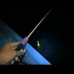 【LIVE】船からアジ釣りするだけのライブ