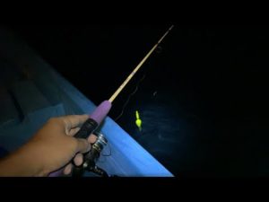 【LIVE】船からアジ釣りするだけのライブ