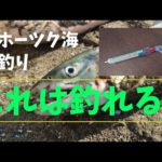 【激熱】オホーツク海　アキアジ釣り　これは釣れる!!　#鮭釣り #アキアジ釣り #オホーツク海 #北海道 #鮭ブッコミ釣り #ケイムラ#akinori