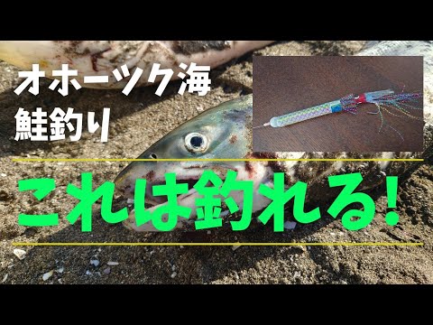 【激熱】オホーツク海　アキアジ釣り　これは釣れる!!　#鮭釣り #アキアジ釣り #オホーツク海 #北海道 #鮭ブッコミ釣り #ケイムラ#akinori