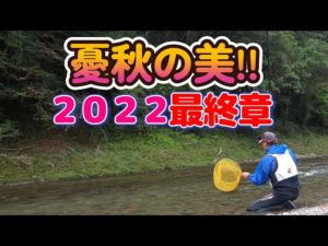 【鮎釣り】今年も最終!!頑張りました!!