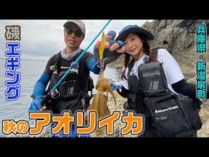 秋アオリの基本、餌木ローテで連続ヒット!　【ガッ釣り関西165】