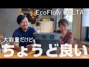大容量だけど全てにおいてちょうど良い!ポータブル電源/EcoFlow DELTA2
