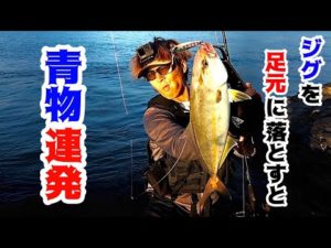 【釣りよか】離島でショアジギング！青物の連発が止まらないwwww