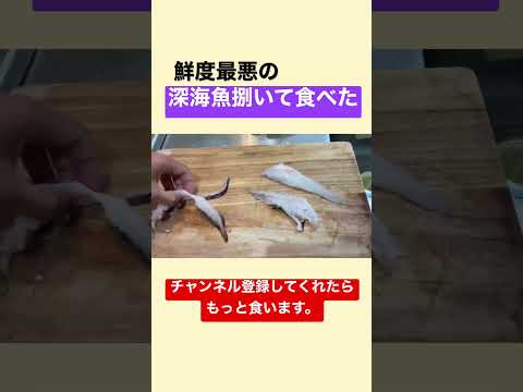 深海魚食ったら腹壊した。#釣り #北海道釣り #深海魚 #食中毒 #事故