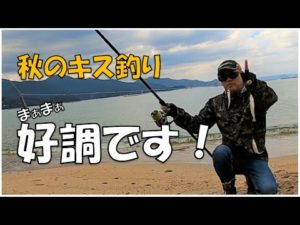 【キス釣り】好調！？落ちギス探し！福岡糸島の投げ釣り