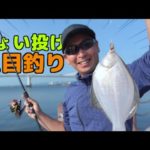 カレイも●●も釣れてます！ちょい投げ五目釣りが最高に楽しい季節！小名浜港の釣りが激アツです！