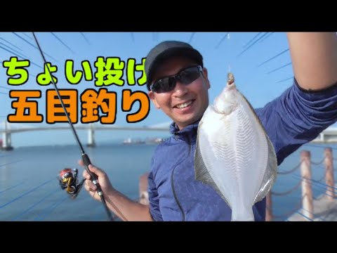 カレイも●●も釣れてます！ちょい投げ五目釣りが最高に楽しい季節！小名浜港の釣りが激アツです！