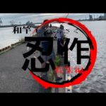 和竿【忍作】ヘチ釣り