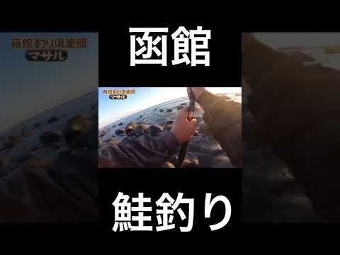 2022年10月13日　函館鮭釣り🎣