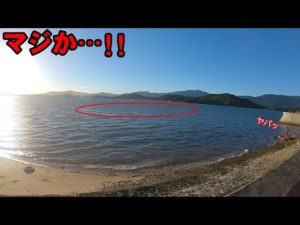 【悲報】巨大アジが次々に襲うその直後…釣りどころじゃない事態が！