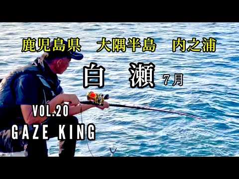 石鯛釣り　鹿児島　大隅半島　内之浦　イシダイ　イシガキ　VOL.20