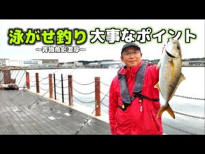 【泳がせ釣り】青物魚影濃厚の港だが、確実に釣る為のポイントがかなり大事でした