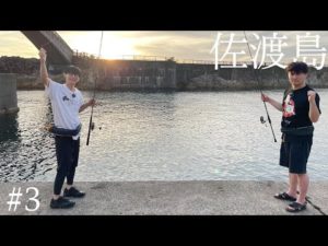 釣りで奇跡が起こる!? 佐渡旅完結編【佐渡島 #3】