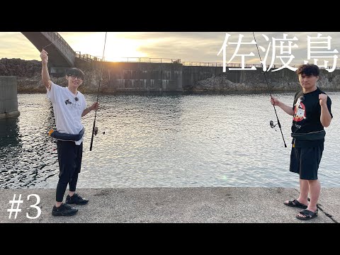 釣りで奇跡が起こる!? 佐渡旅完結編【佐渡島 #3】