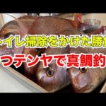 トイレ掃除をかけた一つテンヤでの真鯛釣り！後編【船釣り/一つテンヤ/マイボート/プレジャーボート/YFR27】
