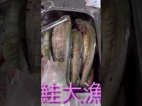 鮭釣り 今年はあたり年？！ 楽しくて美味しくてあげても喜ばれて良いことづくし(^^)