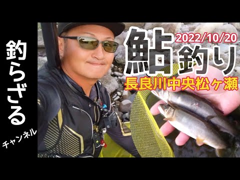 【鮎釣り2022】長良川中央の松ヶ瀬10月20日