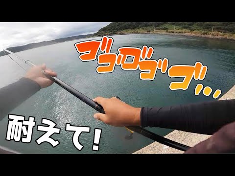 頼むから切れないでくれ!!!!