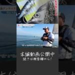 【船タチテンヤ】数釣りのキモは“エサ”と”誘いの小技”！#shorts