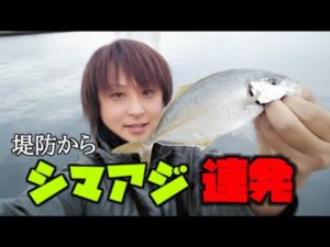 今激アツの釣り！シマアジが堤防で入れ食い状態！