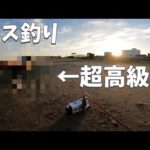 鱚キス釣りボツ動画！しかし！１投目で超高級魚が！！