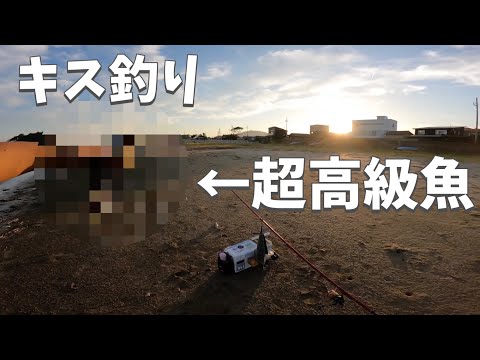鱚キス釣りボツ動画!しかし!1投目で超高級魚が!!