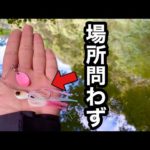 釣れる要素がギッシリ詰まってるスピナーベイトの真骨頂。【秋バス釣り】誰が投げても釣れる…