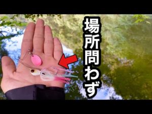 釣れる要素がギッシリ詰まってるスピナーベイトの真骨頂。【秋バス釣り】誰が投げても釣れる…