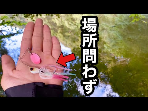 釣れる要素がギッシリ詰まってるスピナーベイトの真骨頂。【秋バス釣り】誰が投げても釣れる…