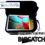 正規品　船釣専用ビッグキャッチ　釣るとこみるぞう君LQ-5050DR　水中カメラ50m　釣具　海　淡水　夜釣り あす楽　うみなかみるぞう君　ランキング市場　船釣りデイリーランキング　第1位　ロッド・竿デイリーランキング　第2位　船釣り週刊ランキング　管内カメラ