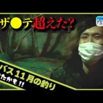 シーバスの11月の釣り!!ロザンテ超えたかも....