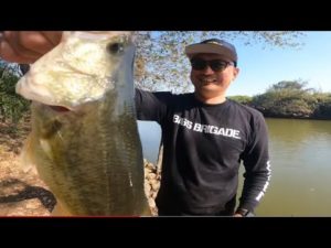 【埼玉バス釣り】春日部謎の池でデカバス調査！安心の関宿で爆釣バス釣り！【千葉バス釣りポイント】