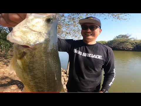 【埼玉バス釣り】春日部謎の池でデカバス調査！安心の関宿で爆釣バス釣り！【千葉バス釣りポイント】